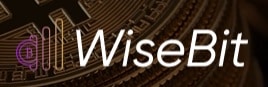 WiseBit brand logo